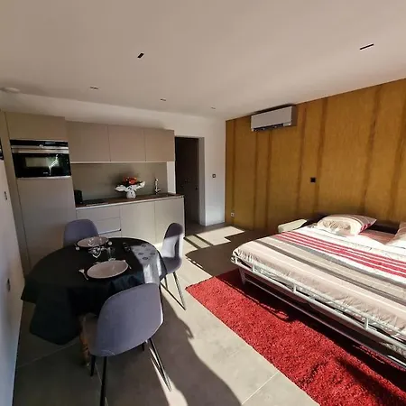 Magnifique Au Bord Du Du Bourget à Proximité D'aix-les-bains *